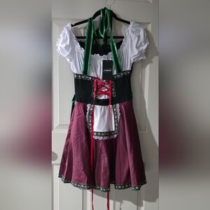 Elegant Dirndl Dress with Red and Green Accents